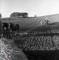 Sowing and Harrowing